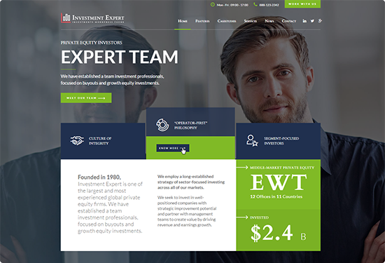 investment busniness theme home layout preview image